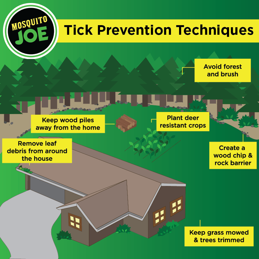 Infographic of house in the woods with tips on tick prevention surrounding the house in yellow boxes